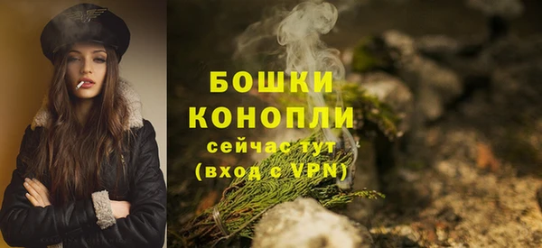 МДПВ Краснослободск