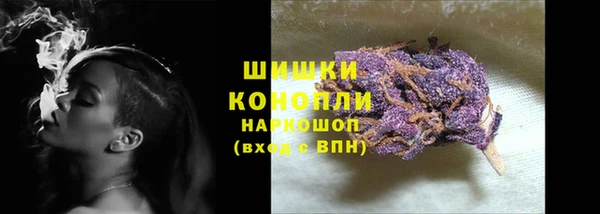 МДПВ Краснослободск