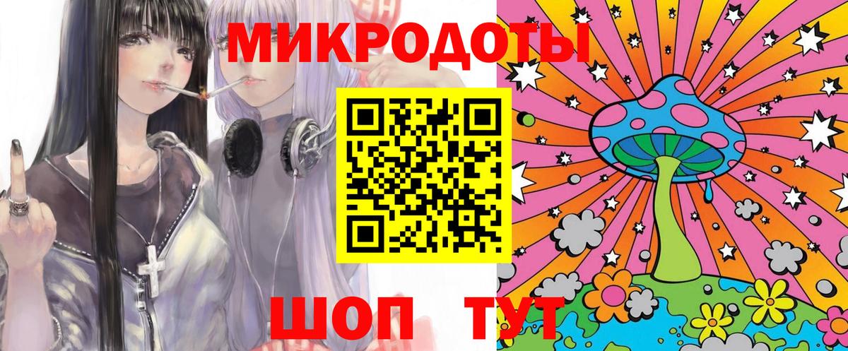 Галлюциногенные грибы Psilocybe Долгопрудный