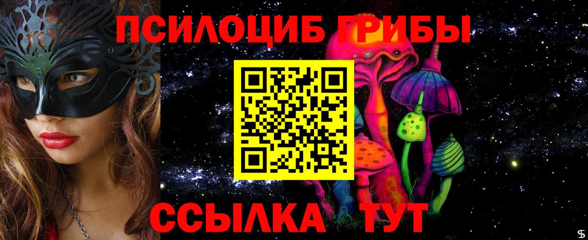 Псилоцибиновые грибы Psilocybine cubensis  Вход с VPN  Долгопрудный  дарнет шоп  Псилоцибиновые грибы ЛСД 